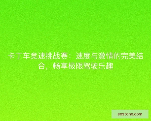 卡丁车竞速挑战赛：速度与激情的完美结合，畅享极限驾驶乐趣