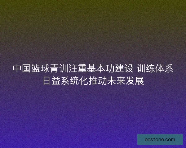 中国篮球青训注重基本功建设 训练体系日益系统化推动未来发展